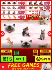  :        / Lucky Cat Slots: Top Slot Machine Game with Real Kitty Cats' SoundsFREE