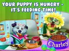 Puppy Dog Sitter - Dress Up & Care, Feed & Play!