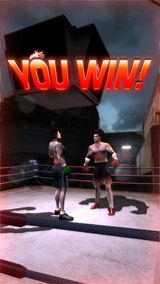 Iron Fist Boxing Lite