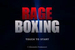 Rage Boxing
