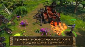Heroes of Order & Chaos -   